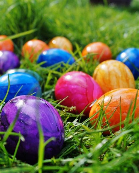 20 Fun Things To Do Over The Easter Weekend Delicious Magazine
