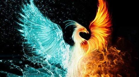 Pin By Frances Lucero On Fire And Ice Phoenix Images Phoenix Artwork