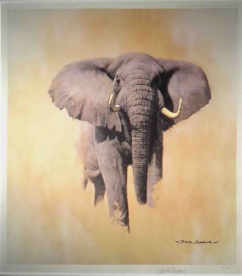 David Shepherd Limited Print African Bull Elephant