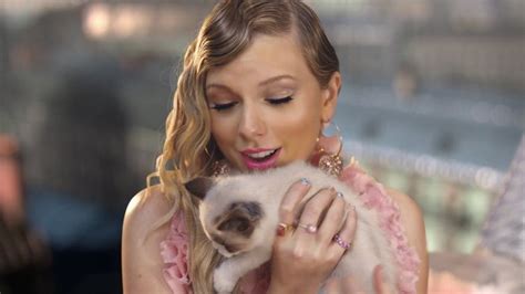 Последние твиты от taylor swift (@taylorswift13). Taylor Swift Has a Cute New Cat -- and He's Already a ...