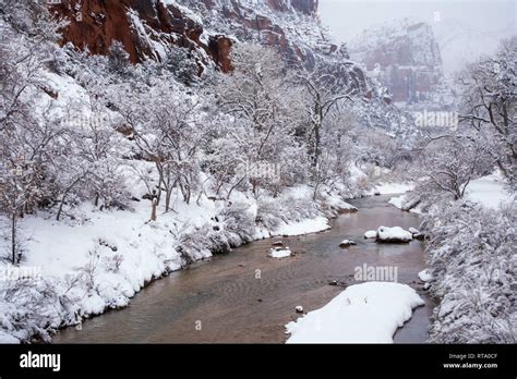 Snowfall In Zions National Park And The Virgin River Stock Photo Alamy