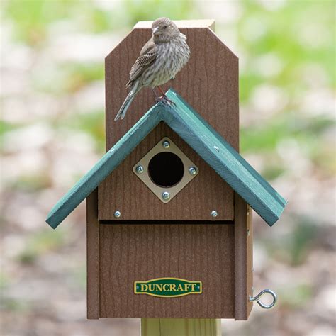 Duncraft Bird Safe Out Of Reach Bird House