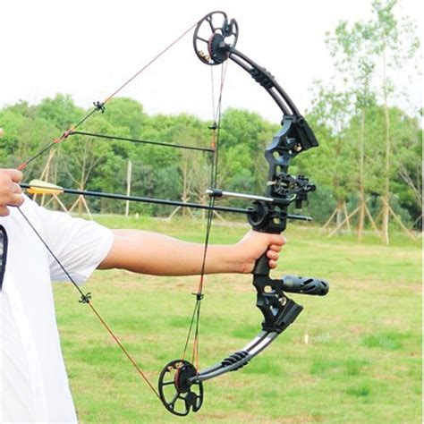 20 70lbs Compound Bow Arrow Archery Hunting Target Shooting Black
