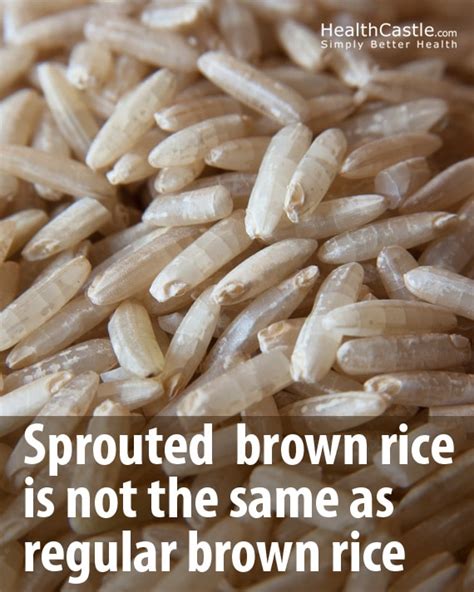 sprouted brown rice nutritional facts and health benefits