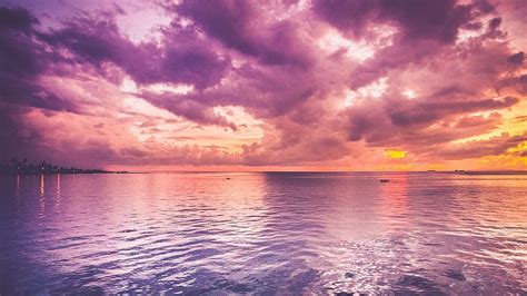 1366x768 Beautiful Purple Sea And Pink Horizon Sunrise 1366x768