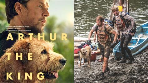 ‘arthur The King The True Story Behind Mark Wahlbergs Stray Dog