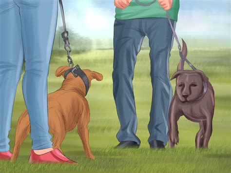 Keep up with the vaccination schedule. 3 Ways to Take Care of a Pitbull Puppy - wikiHow