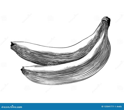 Hand Drawn Sketch Of Banana In Black Isolated On White Background