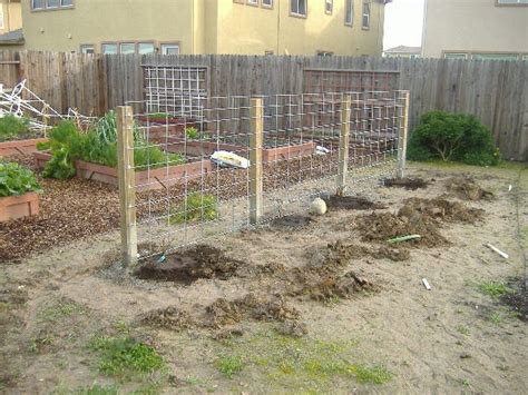 I would have preferred this arbor to be more crooked, but the trunk and branches over time will create that rustic look by itself, so i'll just have to be patient. Sacramento Vegetable Gardening: The Wrong Way to Build a ...