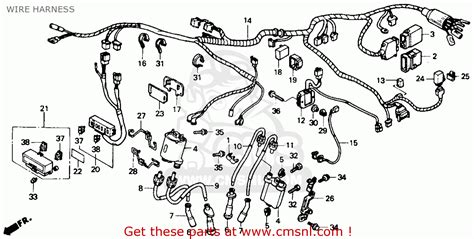 Many good image inspirations on our internet are the. Pocket Bike Wire Diagram - Wiring Diagram