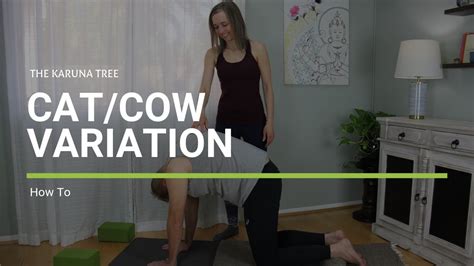 Cat Cow Yoga Pose Variation With Breath How To Do Yoga YouTube