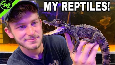 My Reptiles Reptile Keeper