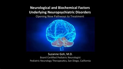 Understanding The Neurological And Biochemical Factors Underlying Neuropsychiatric Disorders