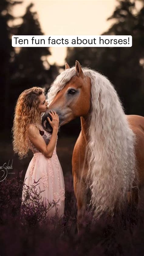 Ten Fun Facts About Horses Pinterest