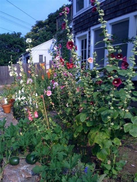 Für alltägliche aufgaben wie wässern, hacken, unkraut jäten kommen sie mit diesen angaben ganz gut hin. 10 Ideen für die Gartengestaltung für Anfänger (mit ...