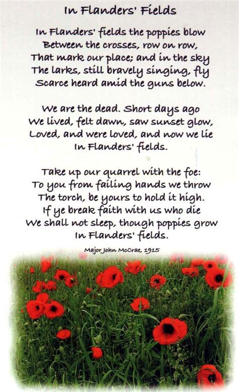 In Flanders Fieldsour Sixth Grade Class Performs This Poem Every