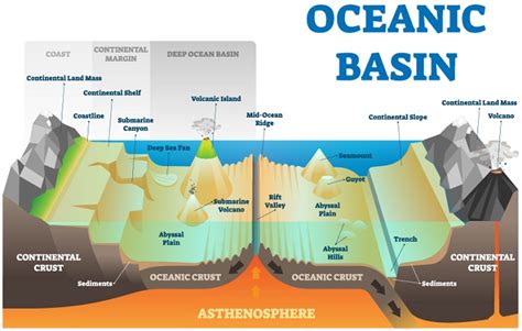 Ocean Floor Diagram Worksheet Worksheets For Kindergarten