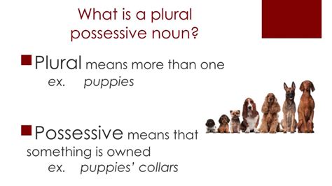 There are several different types of english nouns. 6th Grade Plural Possessive Nouns - YouTube