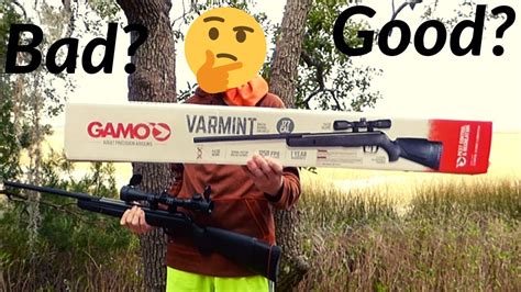 Review Of The Gamo Varmint Air Rifle Youtube