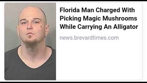 Speaking Of Florida Man Here Are Some Top Notch Contenders For Best Florida Man Thegunrack