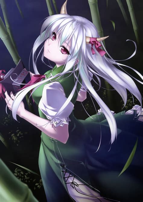 Video Games Touhou Dress Bamboo Horns Long Hair