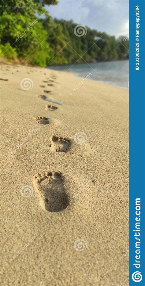 Footprints Stock Image Image Of Coast Stone Nature 233002829