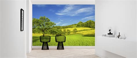 Sunny Summer Day High Quality Wall Murals With Free Us Delivery Photowall