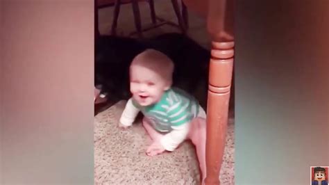 😍funny Dogs Protecting Babies Compilation 2020 Youtube