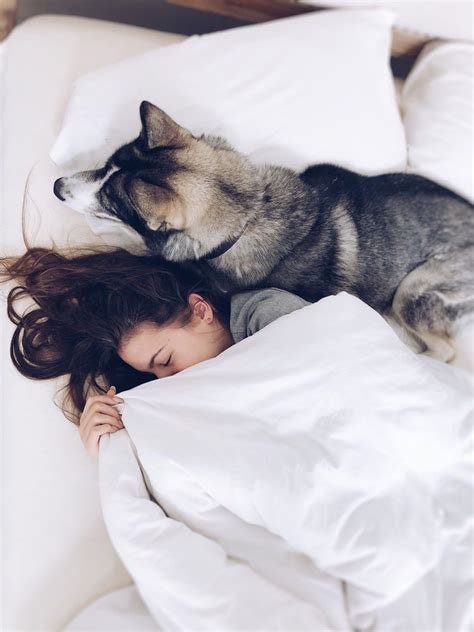 Studie zeigt dass Frauen besser neben Hunden als Männern schlafen Hunde Hunde schlafen