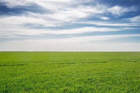 Green Field And Blue Sky Stock Image Image Of Clouds 91951845
