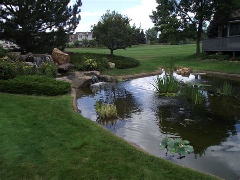Maybe you would like to learn more about one of these? » Considerations when designing an Outdoor Pond or ...