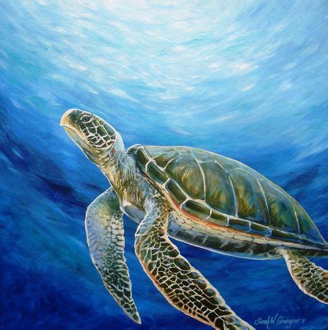 Sea Turtle By Sarah Grangier Sea Turtle Painting Sea Turtle Art