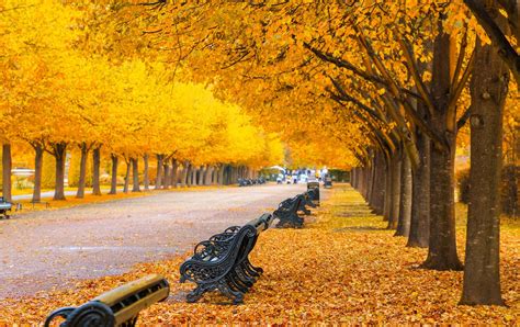 Fall Foliage In London 6 Places You Must See On Your Autumn Trip