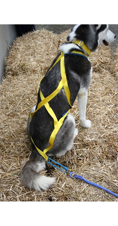 X Back Sled Dog Harness Real Dog Company