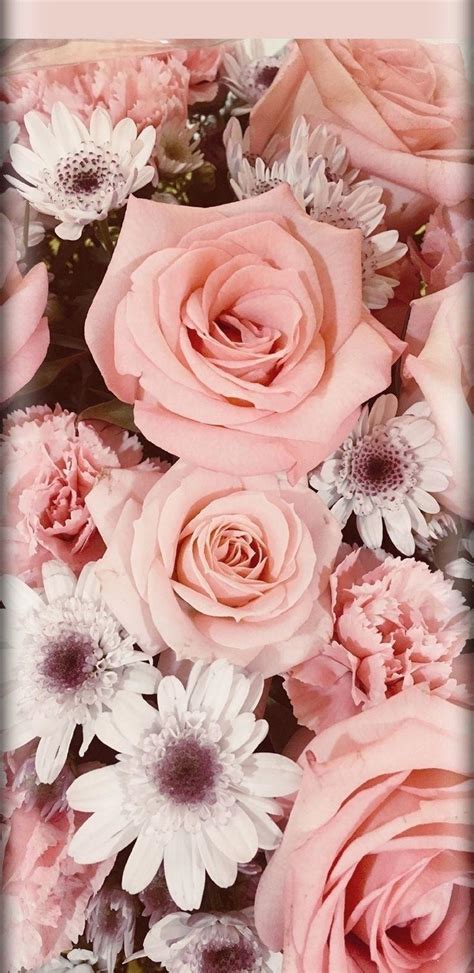 Aesthetic Pink Roses Wallpapers Wallpaper Cave