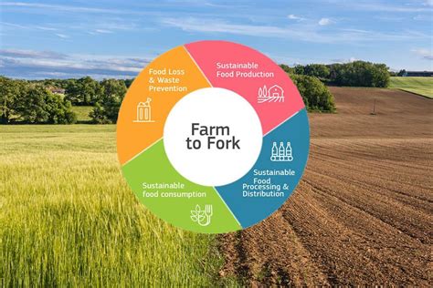 From Farm To Fork Understanding The Food Supply Chain Polka Dots And Gin