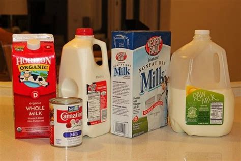 Healthiest Type Of Milk Wellnessbin