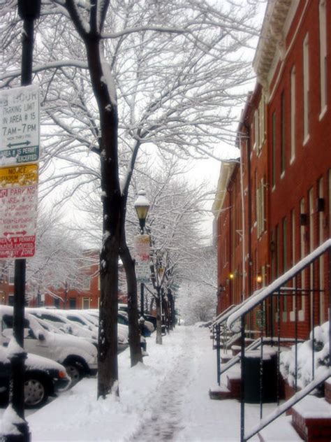 Baltimore Md Rowhouses In The Snow Photo Picture Image Maryland