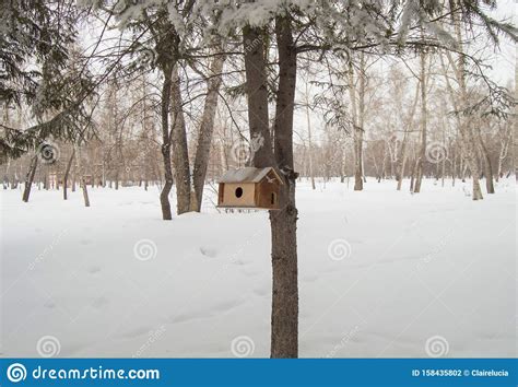 Wooden House For Birds In The Woods Under The Snow