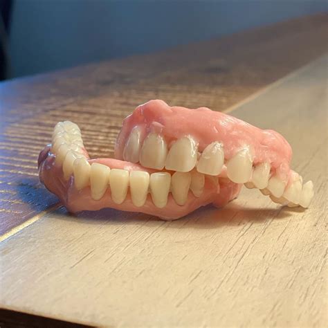 Perrito es atrapado usando los dientes falsos de su padre