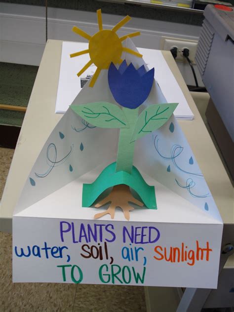 Goat on a farm kindergarten project | shoebox parade. Plant needs diorama | Plant science, School crafts ...