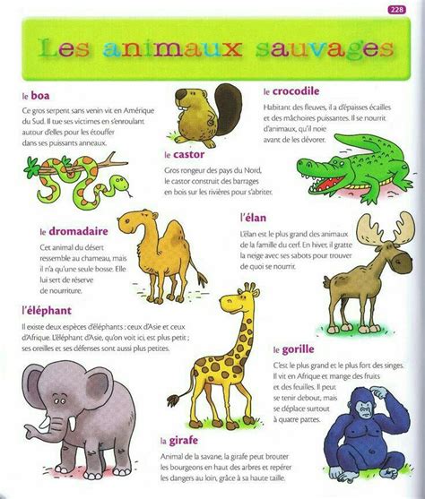 Animaux Sauvages French Education Learn French French Language Lessons