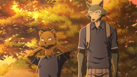 Beastars Manga After Anime Season 2 Anime Nations