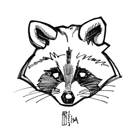 Choose any of 4 images and try to draw it. Simple Raccoon Drawing at GetDrawings | Free download