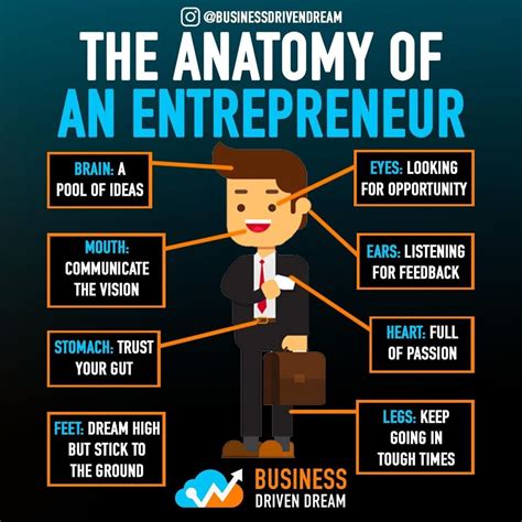 An Entrepreneurs Anatomy Decided To Bring This One Back ⠀ ⠀ An