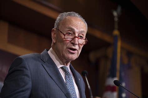 Chuck schumer, american politician who was elected as a democrat to the u.s. Schumer urges Senate to add election security measures to ...