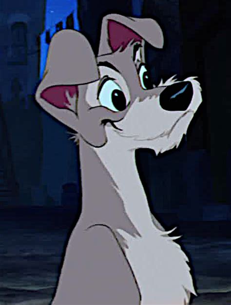 Tramp Disney S Lady And The Tramp Photo 40991815 Fanpop