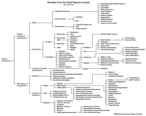 A Guide To Clinical Differential Diagnosis Of Oral Mucosal Lesions Continuing Education Course