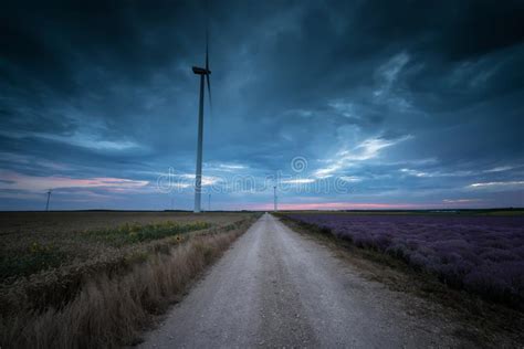 Country Road In Summer Evening Stock Photo Image Of