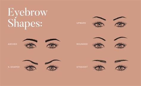 Do You Really Know What Eyebrow Shape Suits Your Face Best Thisll